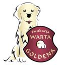 golden retriever ZaginioneKoty.pl