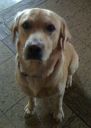 OTTO