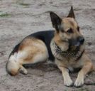 Kiler