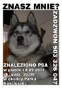 JJ dżejdżej