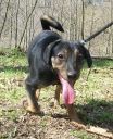 Borys