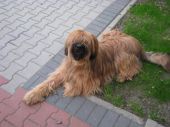 Berta