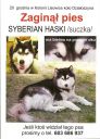 Nusia