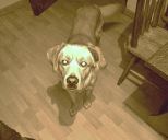 Borys