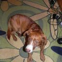 Cudo