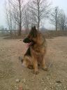 KILER