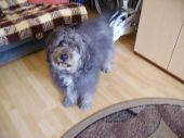 Kacper
