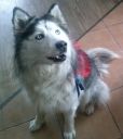 Mery