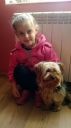 York ZaginioneKoty.pl