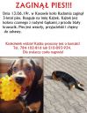 Kajtek