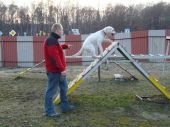 labrador ZaginioneKoty.pl