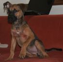 LOLA