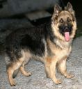 Karmel