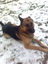 REX